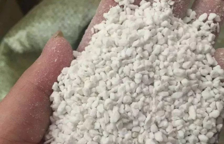無(wú)土栽培基質(zhì)珍珠巖.jpg